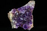 Dark Purple Amethyst Cluster - Excellent Color #76999-1